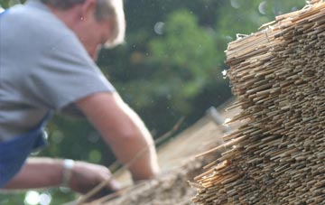 professional Lampeter thatchers