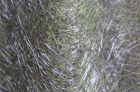 Lampeter fibreglass roof work